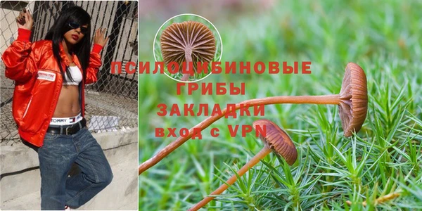 jwh Алексин