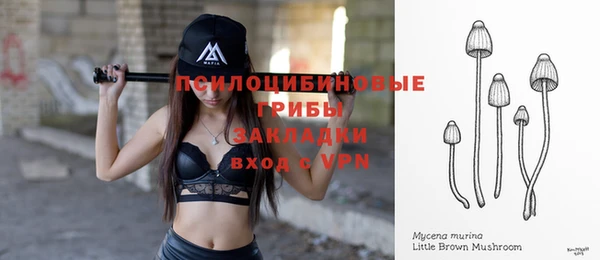 a pvp Алексеевка