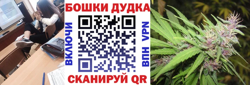 Бошки Шишки конопля  купить наркотики сайты  Данилов 